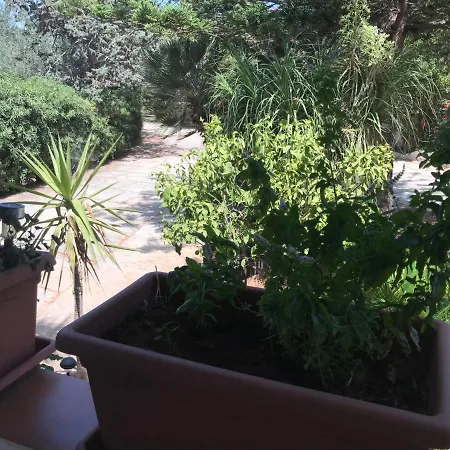 Σπίτι διακοπών A Casa Dei Fenici Μαρσάλα