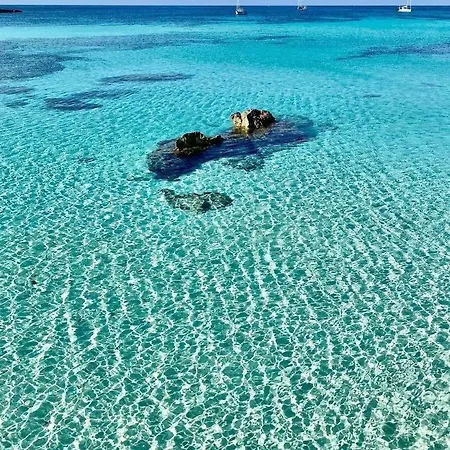 度假居 A Casa Dei Fenici *